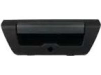 Ford FL3Z-9943400-KAPTM Handle