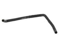 Genuine Ford Super Duty Radiator Drain Plug – FOAZ-8115-A – For 99-07 6.0L & 7.3L Powerstroke