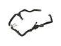 Ford CV6Z-8075-D Hose Assembly