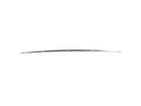 Ford 4L3Z-1551700-AA Rail - Roof Side Drip
