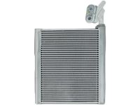 Ford BV6Z-19850-B Evaporator Assembly