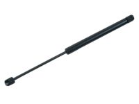 Ford LC3Z-16C826-A Gas Lift Assembly