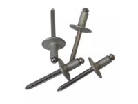 Ford -W701913-S303 Blind Rivet