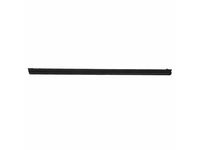 Ford EB3Z-2121456-B Door Window Weatherstrip Assembly