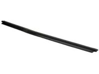 Ford F81Z-2521452-AA Door Window Weatherstrip Assembly
