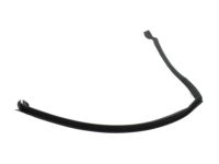 Ford FT4Z-5828125-C Weatherstrip
