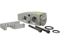 Ford HL3Z-19849-C Valve Assembly - Evaporator Expansion