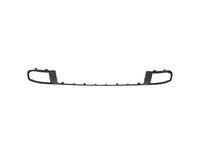 Ford M1PZ-17K945-AAPTM Bumper Grille