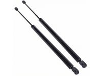 Ford YL8Z-78406A10-AA Gas Lift Assembly