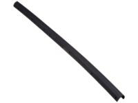 Ford 1C3Z-26253A24-A Door Weatherstrip Lower