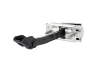 Ford BK3Z-6123500-E Check Assembly - Door