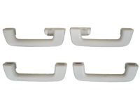 Ford DS7Z-5831406-AE Handle Assist Ford DS7Z-5831406-AE Handle Assist