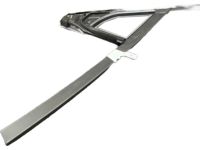 Ford HP5Z-5421596-A Run - Door Glass