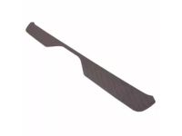 Ford YC2Z-17B807-AAB Pad - Bumper