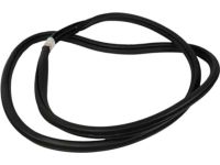 Ford HL3Z-16253A10-A Weatherstrip Assembly - Door Opening