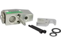 Ford DV6Z-19849-E Evaporator Expansion Valve Assembly