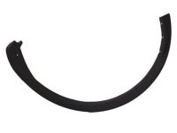 Ford FA1Z-58290A60-AA Moulding Ford FA1Z-58290A60-AA Moulding