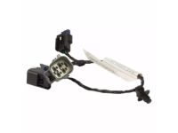 Ford GN1Z-13410-J Lamp Socket And Wire Assembly