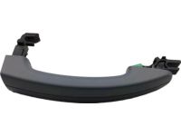 Ford BM5Z-5422404-BAPTM Kit - Handle