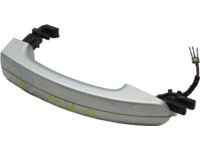 Ford BM5Z-5422404-BAPTM Kit - Handle