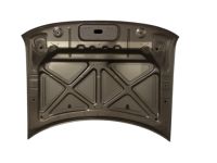 Ford 8A8Z-16612-A Hood Assembly