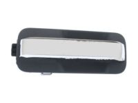 Ford HL3Z-1522600-AA Door Handle Assembly Inner