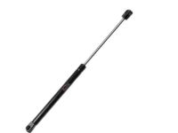 Ford XS4Z-61406A10-AA Lift Assembly - Gas