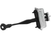 Ford DP5Z-5423552-B Door Check Assembly