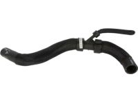 Ford DB5Z-8260-E Radiator Hose