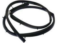 Ford DT1Z-61253A10-A Weatherstrip - Door Opening Ford DT1Z-61253A10-A Weatherstrip - Door Opening