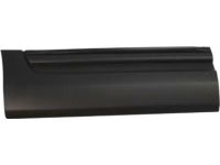 Ford BB5Z-7825556-AA Finish Panel