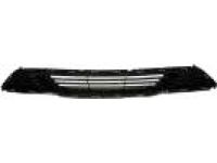 Ford DG1Z-17K945-AA Bumper Grille
