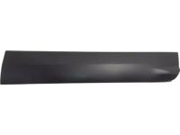 Ford CJ5Z-7820878-AB Door Outside Moulding