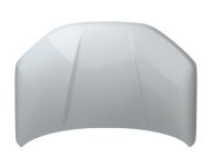 Ford M1PZ-16612-A HOOD ASY