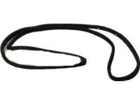 Ford CV6Z-5820708-A Weatherstrip Assembly - Door