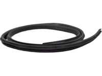 Ford AM5Z-5825324-D Weatherstrip