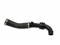 Ford L1MZ-6C646-C Air Duct