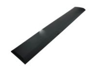 Ford BK3Z-6125532-AA Moulding
