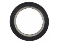 Ford C2OZ-9601-AR Air Cleaner Element Assembly