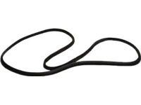 Ford BM5Z-58253A10-B Weatherstrip - Door Opening
