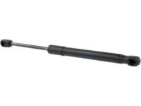 Ford FR3Z-63406A10-A Gas Lift Assembly