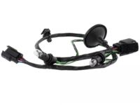 Ford CK4Z-13234-A Wiring And Socket Assembly - Lamp