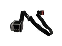 Ford CK4Z-14611B66-AC BELT AND BUCKLE ASY