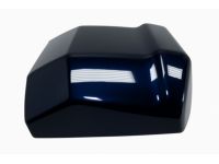 Ford ML3Z-1520976-AAPTM Moulding