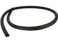 Ford FR3Z-6320708-A Weatherstrip Assembly - Door Opening