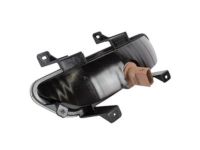 Ford FR3Z-15500-A Lamp Assembly