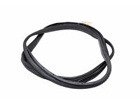 Ford DT1Z-6125324-C Weatherstrip