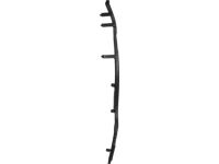 Ford DS7Z-5425860-A Door Belt Weatherstrip