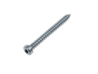 Ford -W790070-S900 Screw