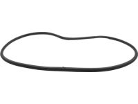Ford FT4Z-58253A10-B Door Opening Weatherstrip Assembly